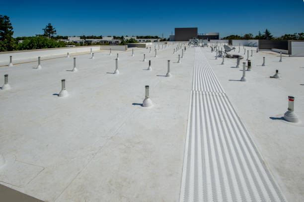 Best Sheet Metal Roofing  in Prces Lakes, IN